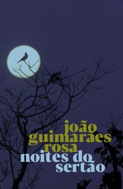 Cover Noites do Sertão (eBook, ePUB)