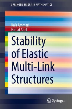 Stability of Elastic Multi-Link Structures - Ammari, Kaïs;Shel, Farhat