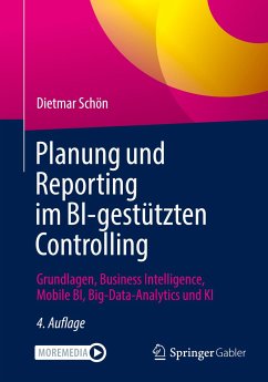 Planung und Reporting im BI-gestützten Controlling - Schön, Dietmar