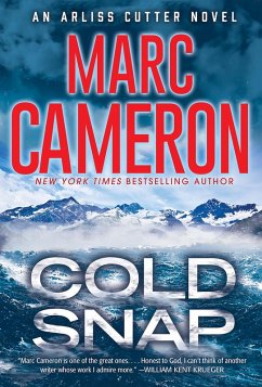 Cover Cold Snap (eBook, ePUB)
