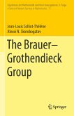 The Brauer–Grothendieck Group (eBook, PDF)
