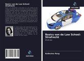 Basics van de Law School: Strafrecht