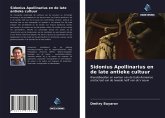 Sidonius Apollinarius en de late antieke cultuur