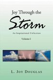 Joy Through the Storm (eBook, ePUB)