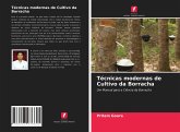 Técnicas modernas de Cultivo da Borracha