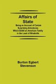 Affairs of State; Being an Account of Certain Surprising Adventures Which Befell an American Family in the Land of Windmills