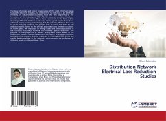 Distribution Network Electrical Loss Reduction Studies - Salamatnia, Elham