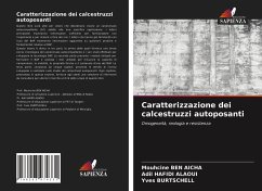 Caratterizzazione dei calcestruzzi autoposanti - BEN AICHA, Mouhcine;Hafidi Alaoui, Adil;Burtschell, Yves