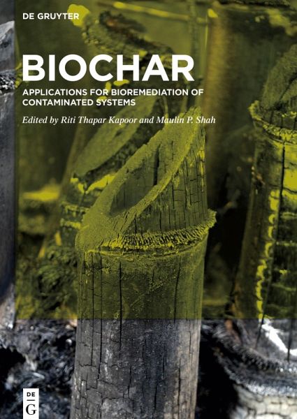 BioChar