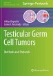 Testicular Germ Cell Tumors - Bild 1