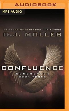 Confluence - Molles, D. J.