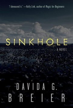 Sinkhole - Breier, Davida