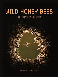 Wild Honey Bees - Arndt, Ingo; Tautz, Jürgen