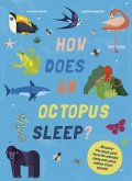 How Does an Octopus Sleep?