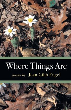 Where Things Are - Engel, Joan
