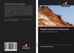 Disastri naturali in Amazzonia - Mendonça, Arianne
