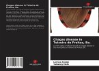 Chagas disease in Teixeira de Freitas, Ba.