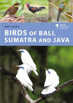 Birds of Bali, Sumatra and Java - Tilford, Tony