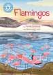 Reading Champion: Flamingos - Bild 1