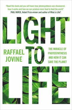 Light to Life - Jovine, Raffael