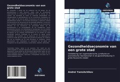 Gezondheidseconomie van een grote stad - Yamshchikov, Andrei