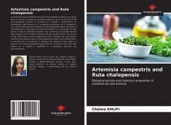 Artemisia campestris and Ruta chalepensis - Khlifi, Chaima