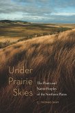 Under Prairie Skies