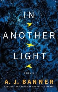 In Another Light - Banner, A. J.