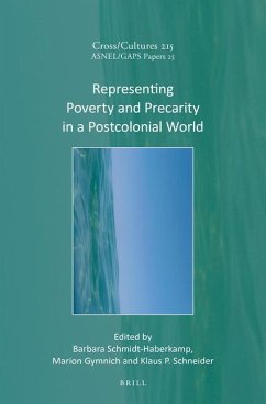 Representing Poverty and Precarity in a Postcolonial World