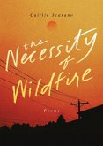 The Necessity of Wildfire (eBook, ePUB)