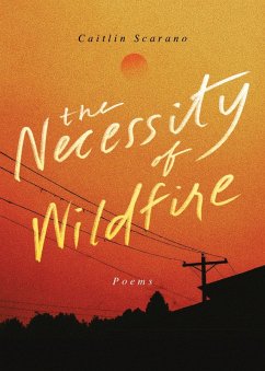 Cover The Necessity of Wildfire (eBook, ePUB)