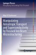 Manipulating Anisotropic Transport and... - Bild 1