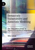 Democratic Vulnerability and Autocratic Meddling