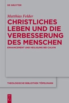 Christliches Leben und die Verbesserung des Menschen - Felder, Matthias