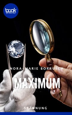 Maximum (eBook, ePUB) - Borrusch, Nora-Marie
