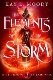 The Elements of the Storm (The Elements of Kamdaria, #3) (eBook, ePUB)