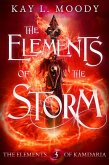 The Elements of the Storm (The Elements of Kamdaria, #3) (eBook, ePUB) The Elements of the Storm (The Elements of Kamdaria, #3) (eBook, ePUB)