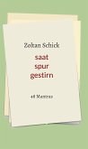 saat spur gestirn (eBook, ePUB)