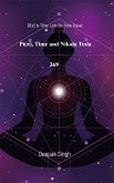 Pi, Time and Nikola Tesla 369 (eBook, ePUB)