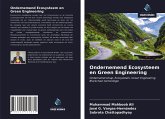 Ondernemend Ecosysteem en Green Engineering