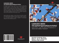 CANUDO BEES (Scaptotrigonabipunctata) - Andrade Silva, Daniela;C. de A. Almendra, Eline;Oda Souza, Melissa