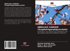 ABEILLES CANUDO (Scaptotrigonabipunctata)