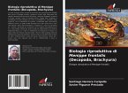 Biologia riproduttiva di Menippe frontalis (Decapoda, Brachyura)