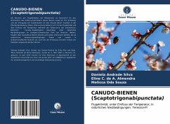 Cover CANUDO-BIENEN (Scaptotrigonabipunctata)