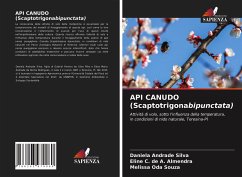 API CANUDO (Scaptotrigonabipunctata) - Andrade Silva, Daniela;C. de A. Almendra, Eline;Oda Souza, Melissa