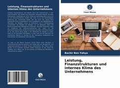 Leistung, Finanzstrukturen und internes Klima des Unternehmens - Yahya, Bachir Ben