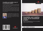 Feasibility and viability study of an investment project