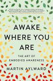 Awake Where You Are (eBook, ePUB) Awake Where You Are (eBook, ePUB)