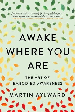 Awake Where You Are (eBook, ePUB) - Aylward, Martin