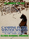 Camping in the Winter Woods Adventures of Two Boys in the Maine Woods (eBook, ePUB)